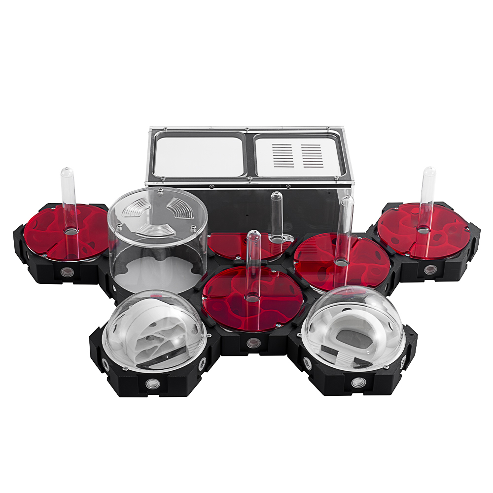 Begonia Rex - กล่องรังมดพิมพ์ลาย3D สำหรับงานฟาร์มมดขยายได้อย่างไม่มีที่สิ้นสุดกล่องใส่แมลงสำหรับสัตว์เลี้ยงอุปกรณ์สำหรับใช้ในศูนย์เพาะพันธุ์รังนกนางพญา