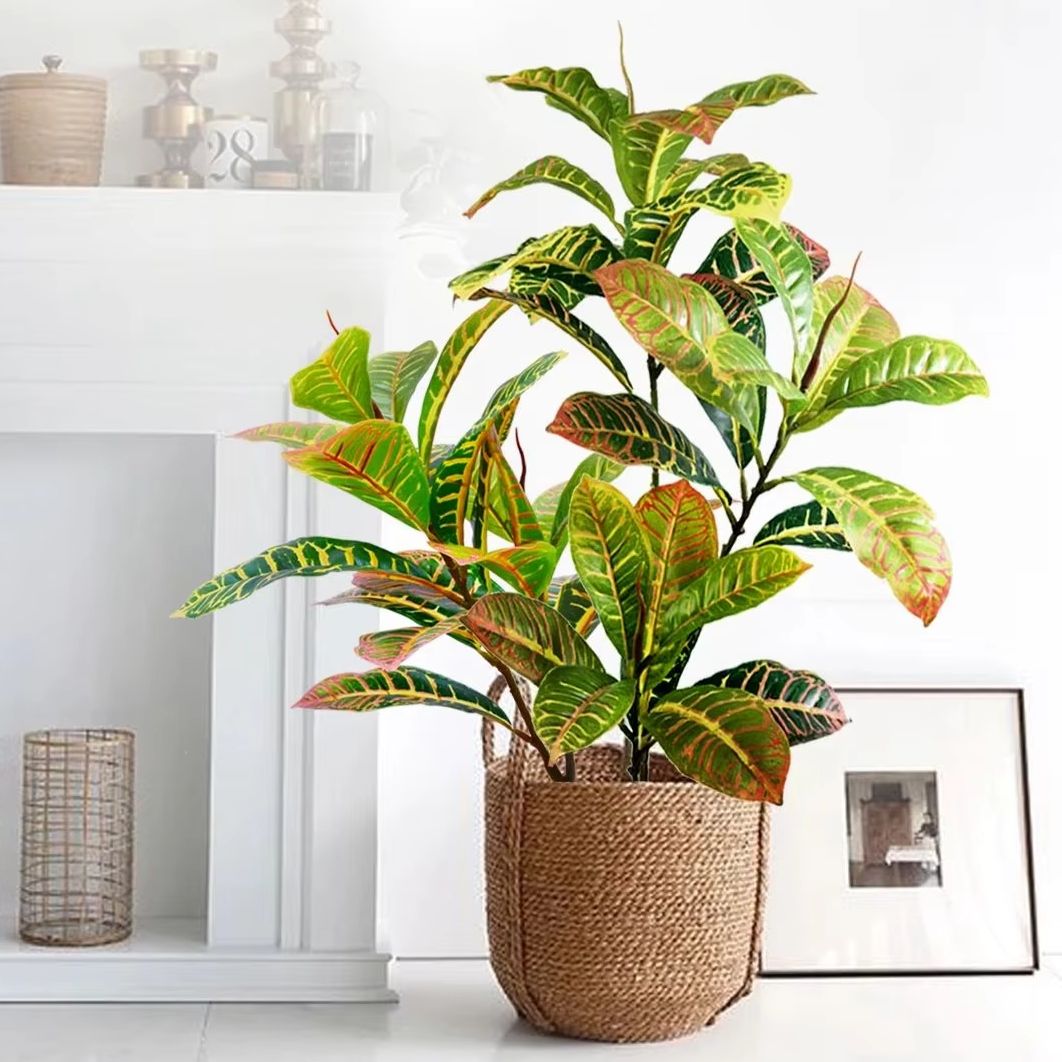Dracaena Marginata - ต้นไม้ประดิษฐ์ขนาด 21-120 ซม. ต้นไทรปลอม ต้นไทรเขตร้อน กิ่งพลาสติก