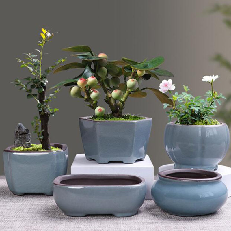 Echeveria Succulent - Retro เซรามิคดอกไม้หม้อหน่อไม้ฝรั่ง Succulent กระถางต้นไม้ Breathable แจกันบอนไซคอนเทนเนอร์บ้านสวนตกแต่งระเบียง