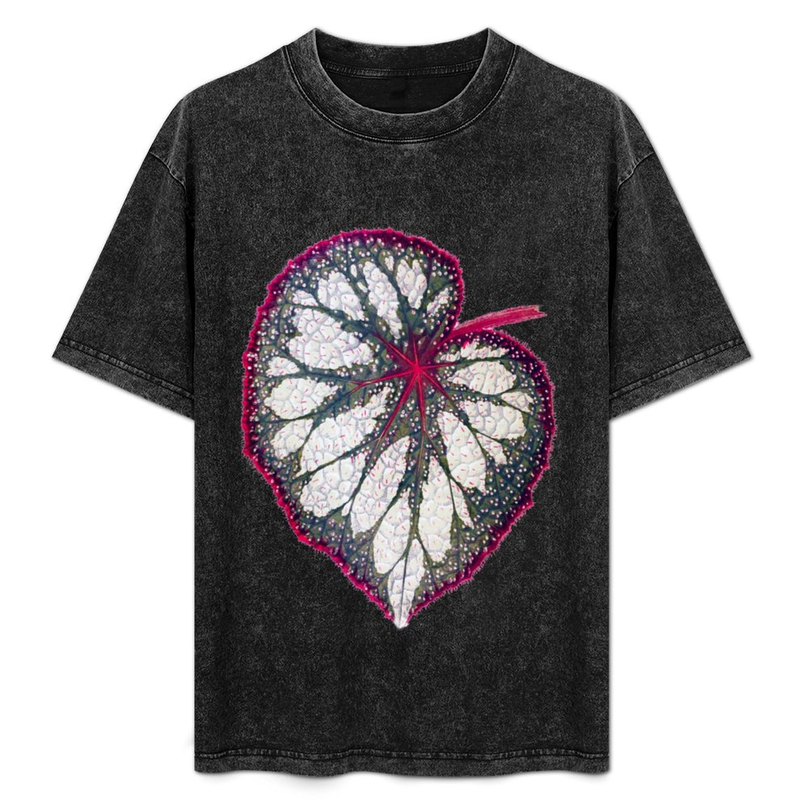 Begonia Rex - เสื้อยืดเบโกเนีย เร็กซ์ เสื้อยืดเรียบง่ายสำหรับวันหยุด