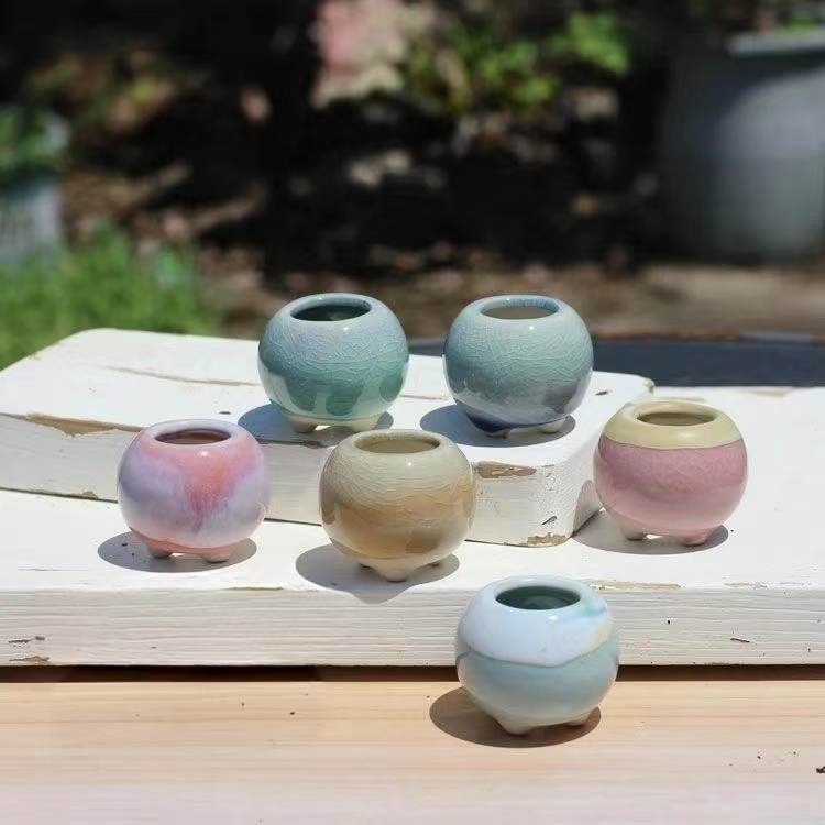 Echeveria Succulent - 6 ชิ้น Mini กระถางดอกไม้ Succulents ขนาดเล็ก