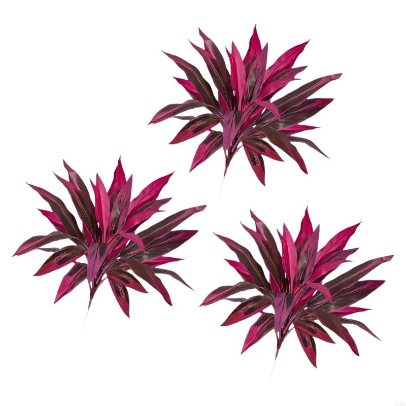 พืช Dracaena Marginata ประดิษฐ - Dracaena Marginata บทวิจารณ์และราคา