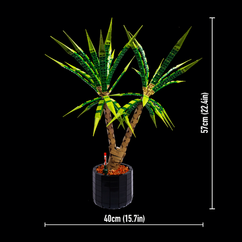 ตัวต่อโมเดลปราสาทยุคกลาง 1961  - Dracaena Marginata บทวิจารณ์และราคา
