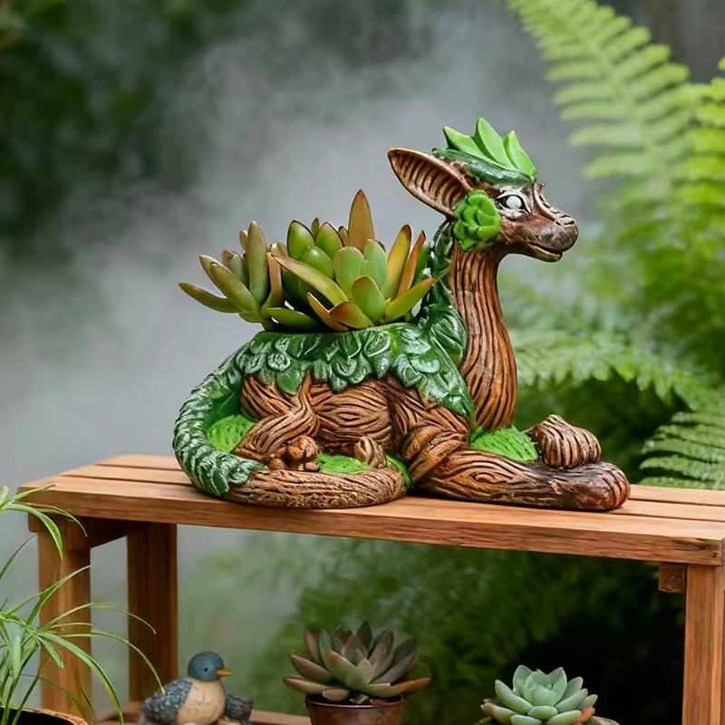 กระถางต้นไม้รูปมังกรสร้างสรรค์ - Echeveria Succulent บทวิจารณ์และราคา