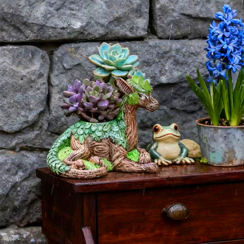 กระถางต้นไม้รูปมังกรสร้างสรรค์ - Echeveria Succulent บทวิจารณ์และราคา
