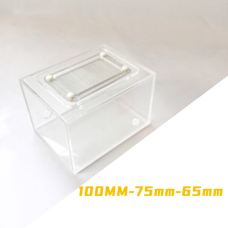 กล่องสังเกตการณ์โปร่งใสสำหรับก - Begonia Rex บทวิจารณ์และราคา