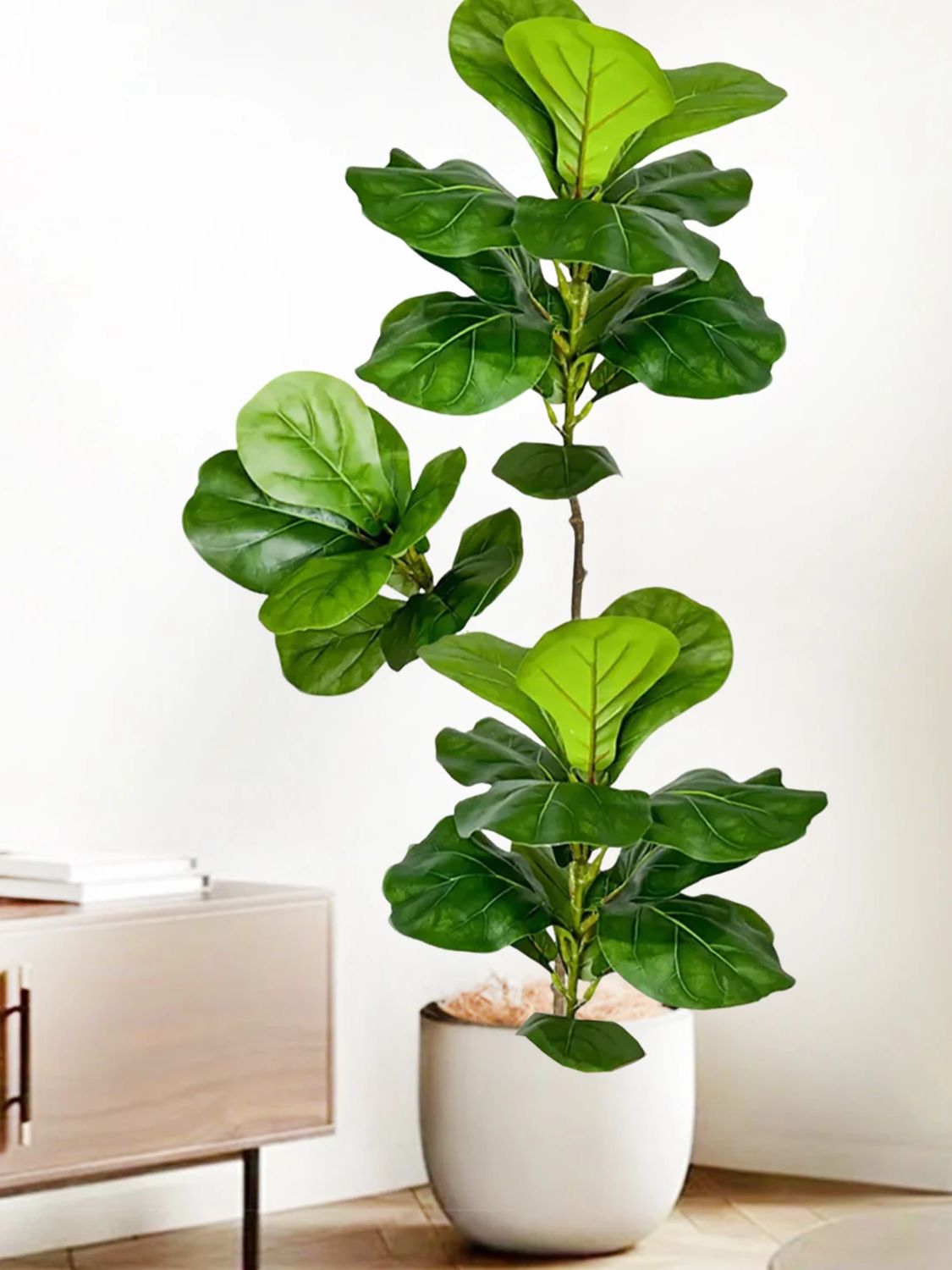 ต้นมะเดื่อใบแฉกประดิษฐ์ ขนาด 4 - Ficus Lyrata Tree บทวิจารณ์และราคา