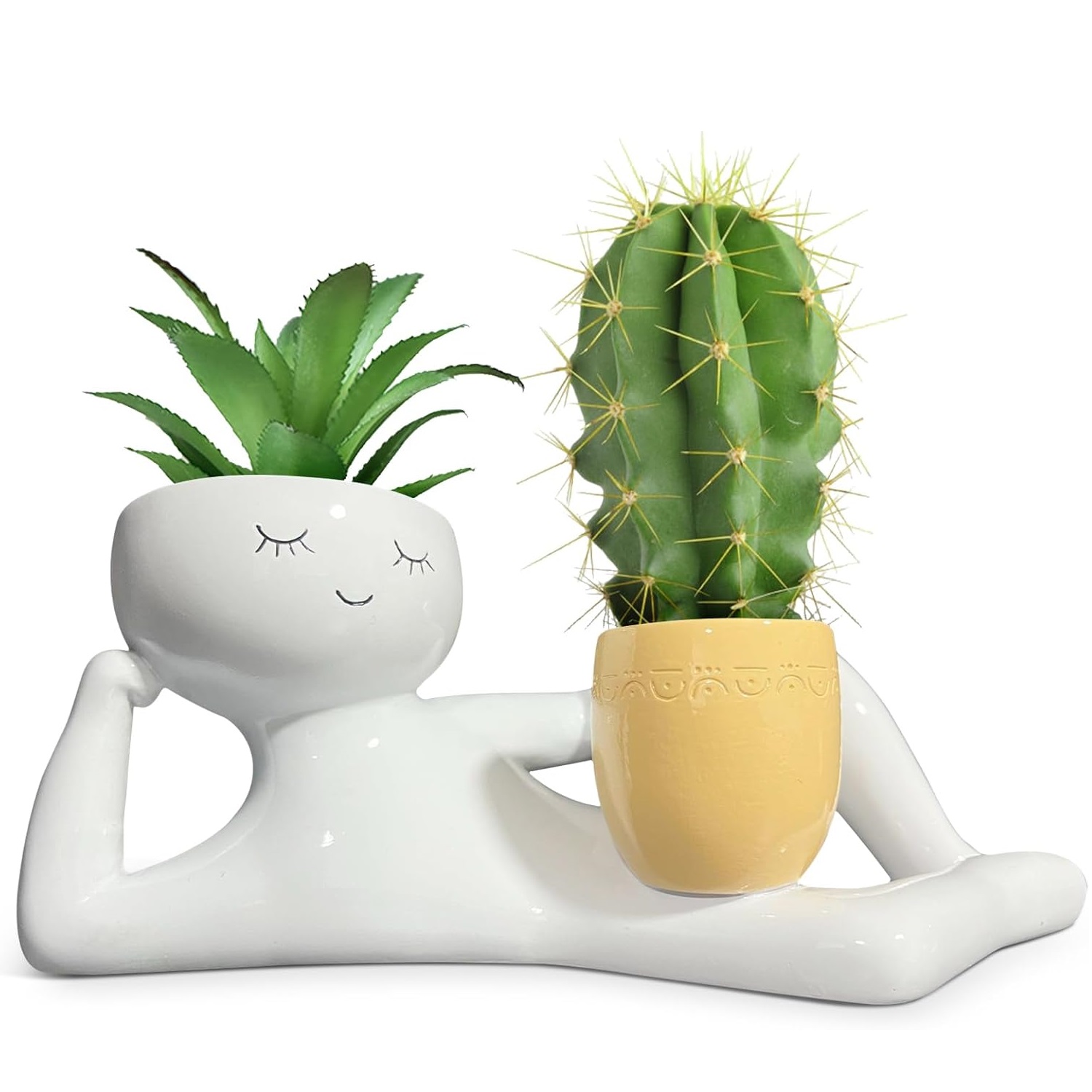 กระถางต้นไม้รูปคนขี้เกียจสุดน่ - Echeveria Succulent บทวิจารณ์และราคา