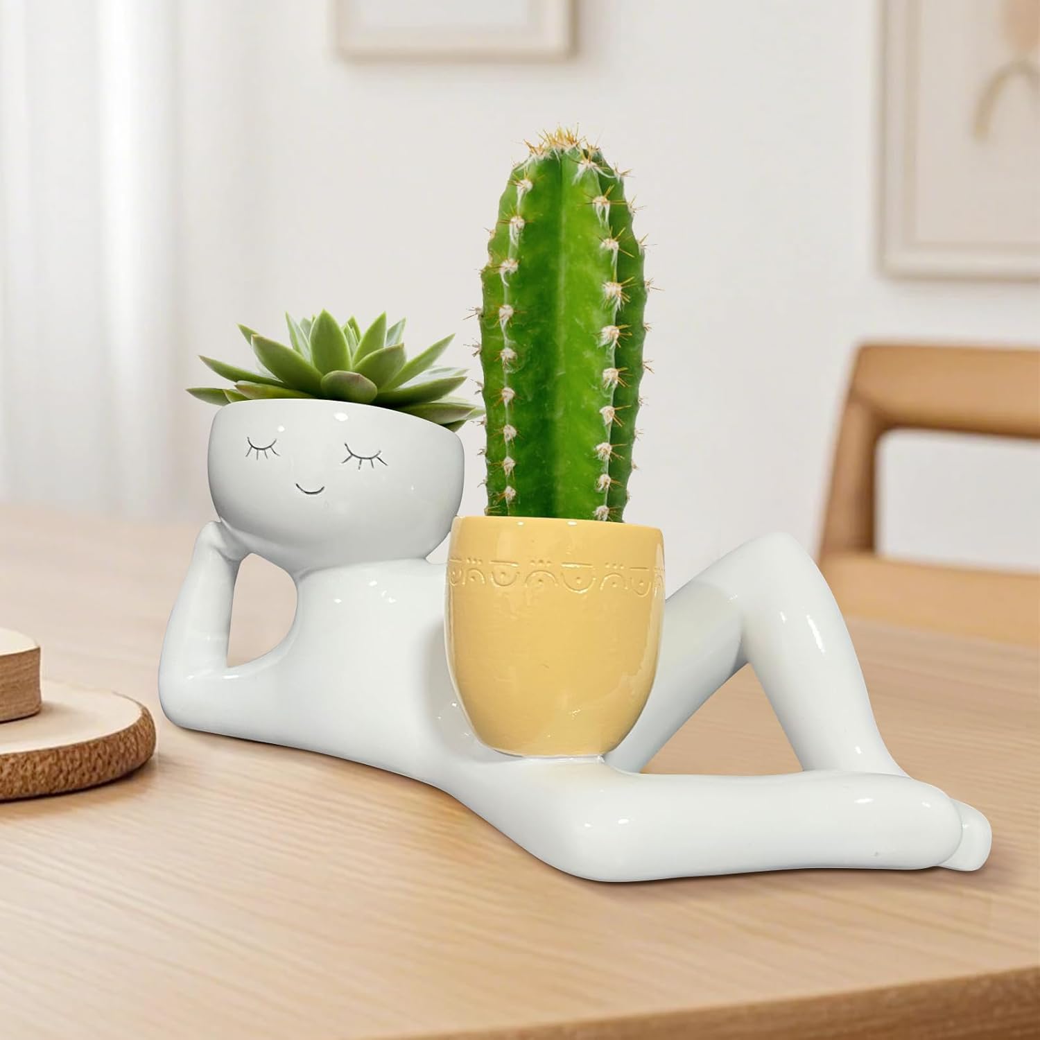 กระถางต้นไม้รูปคนขี้เกียจสุดน่ - Echeveria Succulent บทวิจารณ์และราคา