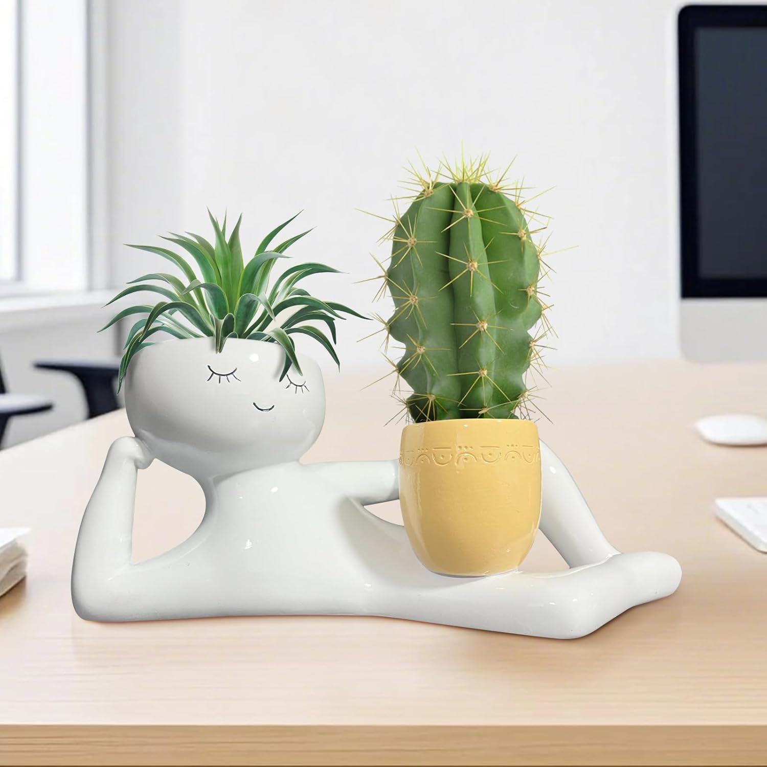 กระถางต้นไม้รูปคนขี้เกียจสุดน่ - Echeveria Succulent บทวิจารณ์และราคา