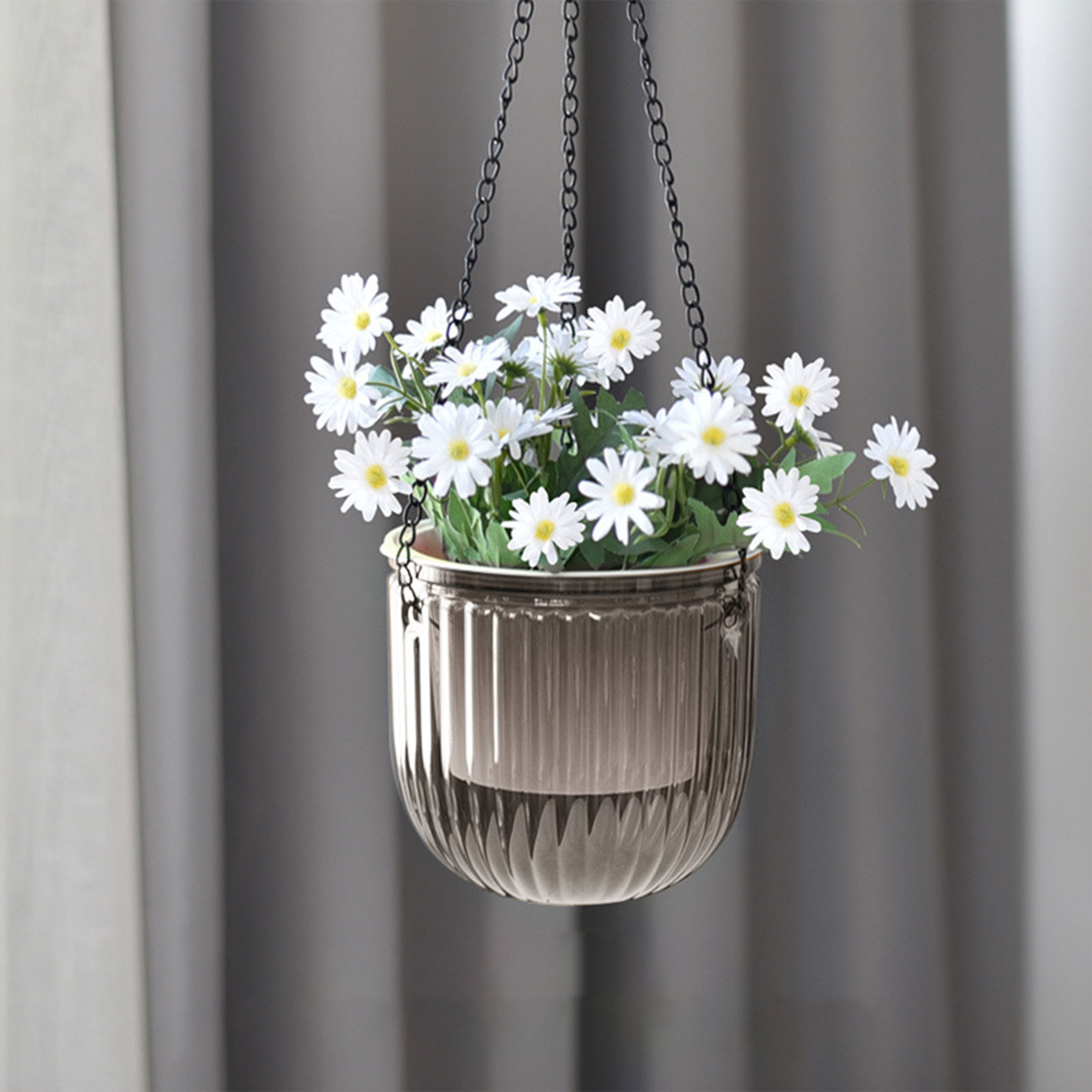 กระถางต้นไม้รดน้ำอัตโนมัติแบบใ - Spider Plant Hanging บทวิจารณ์และราคา
