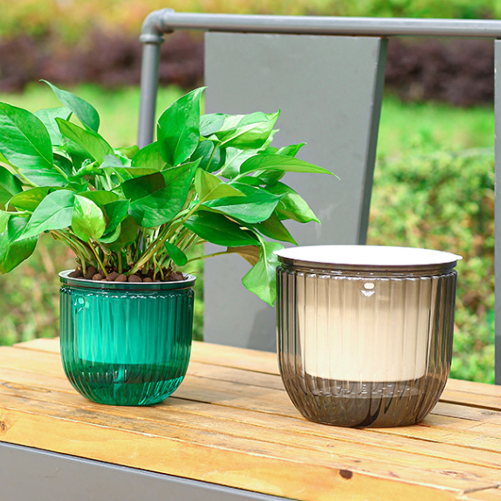 กระถางต้นไม้รดน้ำอัตโนมัติแบบใ - Spider Plant Hanging บทวิจารณ์และราคา