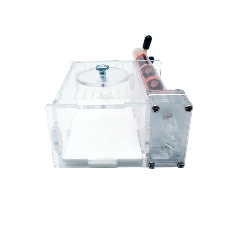 DIY Ant Farm 2 ชิ้น 18-180 มิล - Begonia Rex บทวิจารณ์และราคา