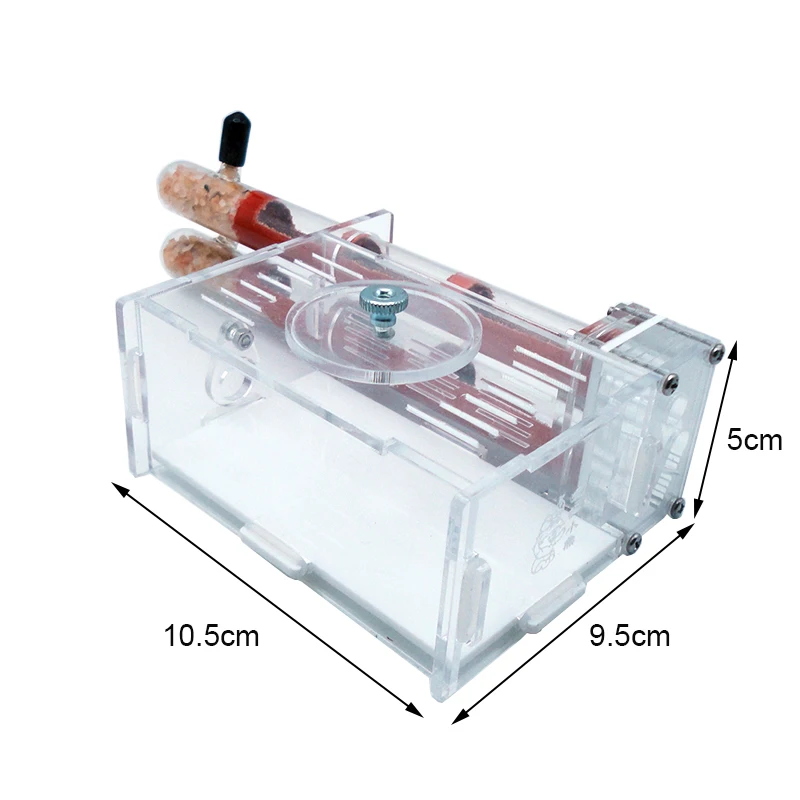 DIY Ant Farm 2 ชิ้น 18-180 มิล - Begonia Rex บทวิจารณ์และราคา