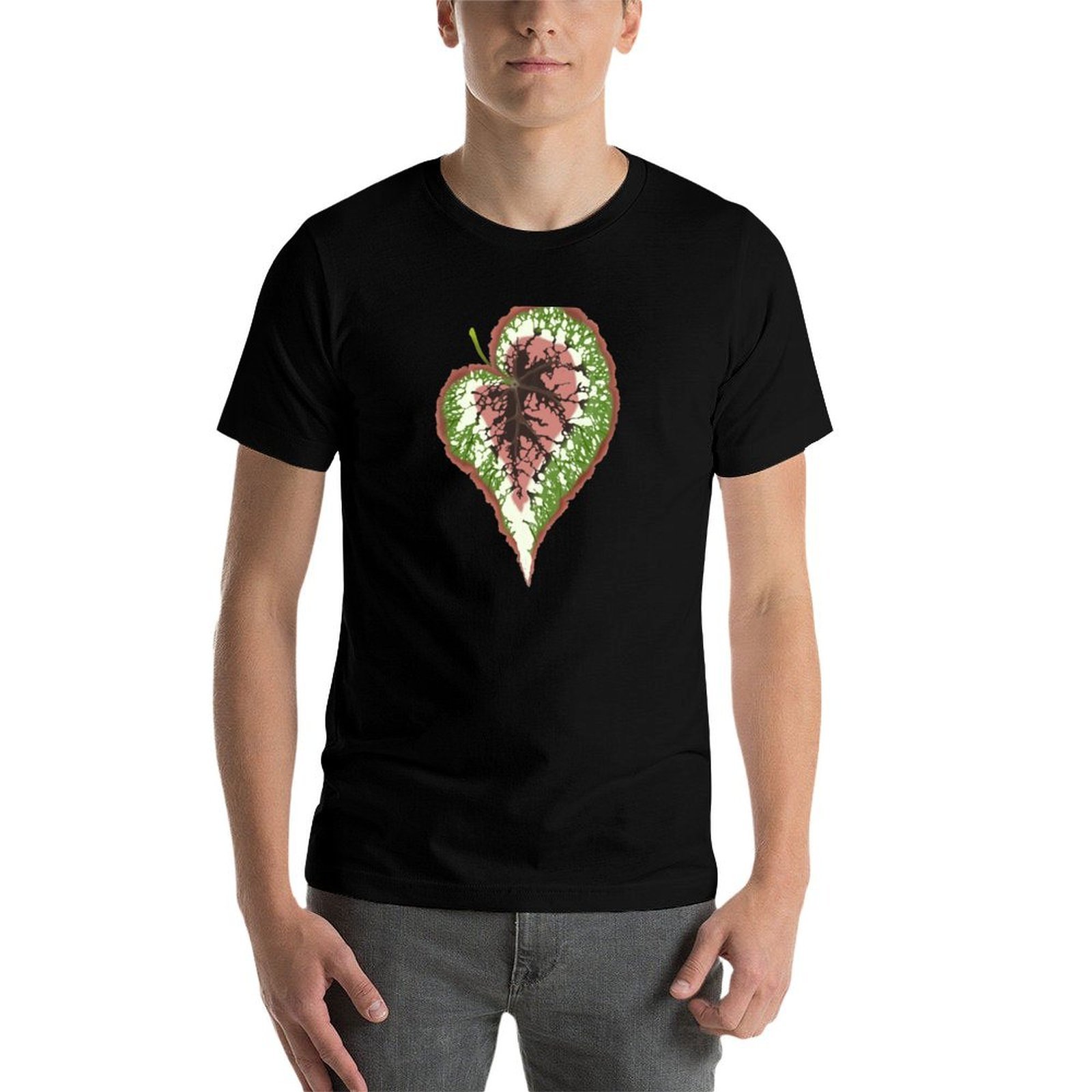 เสื้อยืดเบโกเนีย เร็กซ์ดีไซน์เ - Begonia Rex บทวิจารณ์และราคา