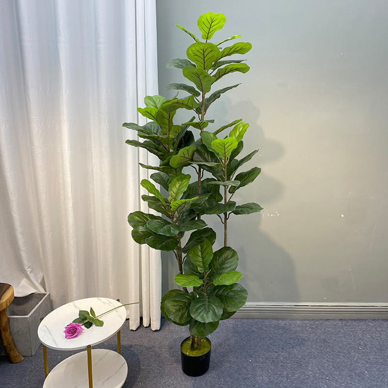 ต้นไทรขนาดใหญ่59in ต้นพลาสติกต - Ficus Lyrata Tree บทวิจารณ์และราคา