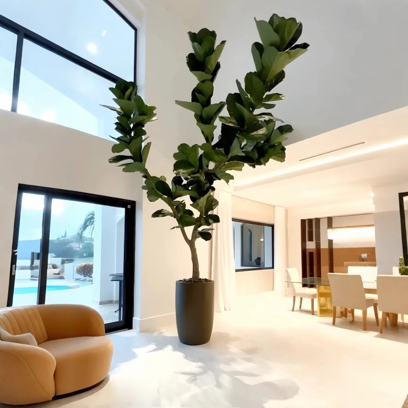 ต้นไม้ประดิษฐ์ ต้นไม้ปลอมในกระ - Ficus Lyrata Tree บทวิจารณ์และราคา