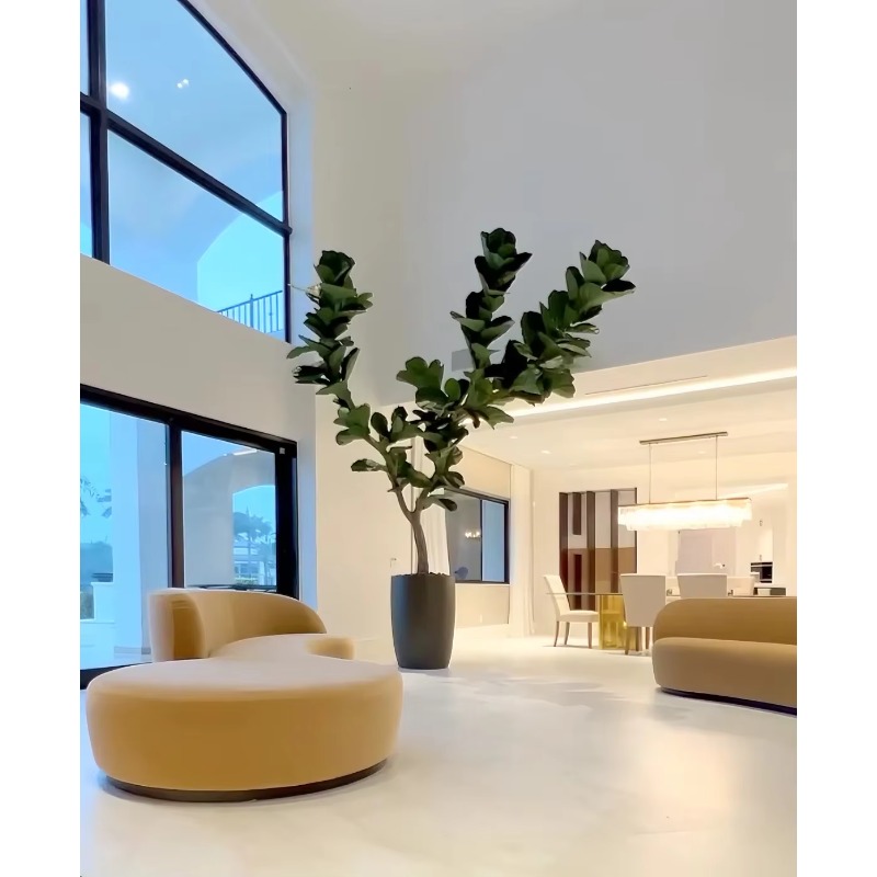 ต้นไม้ประดิษฐ์ ต้นไม้ปลอมในกระ - Ficus Lyrata Tree บทวิจารณ์และราคา