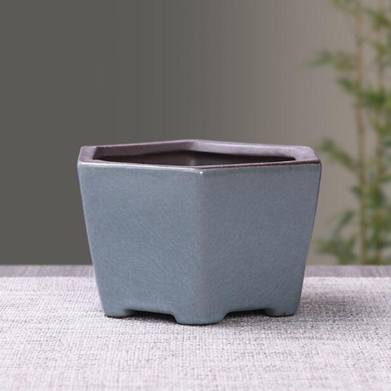 Retro เซรามิคดอกไม้หม้อหน่อไม้ - Echeveria Succulent บทวิจารณ์และราคา