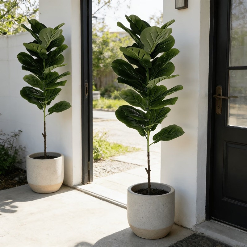 ต้นไม้ประดิษฐ์ฟิคัส ลิราตา ขนา - Ficus Lyrata Tree บทวิจารณ์และราคา