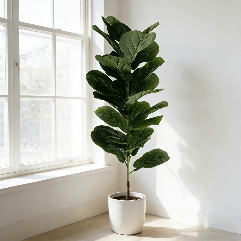 ต้นไม้ประดิษฐ์ฟิคัส ลิราตา ขนา - Ficus Lyrata Tree บทวิจารณ์และราคา