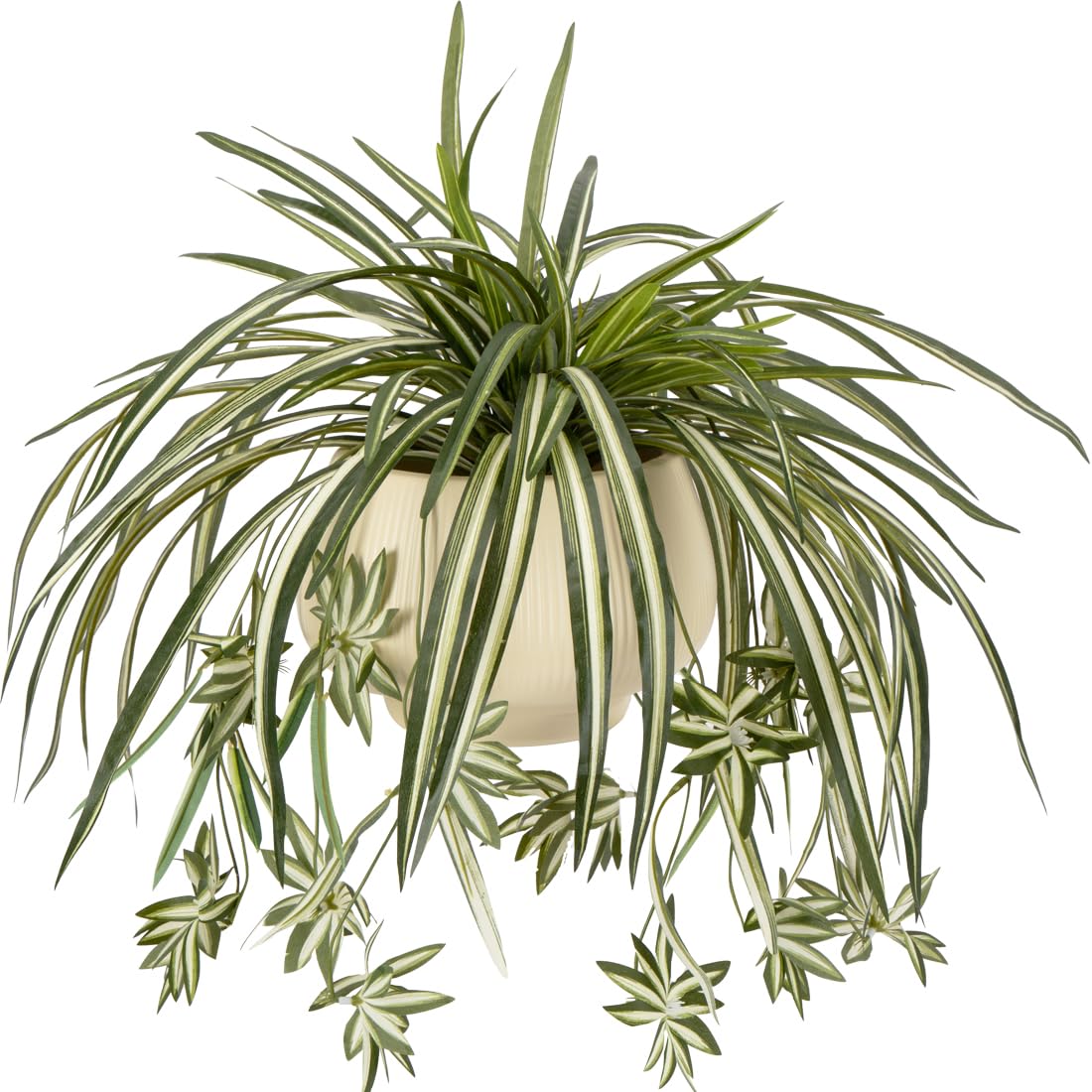 ต้นแมงมุมประดิษฐ์ 4 ชิ้น ต้นคล - Spider Plant Hanging บทวิจารณ์และราคา