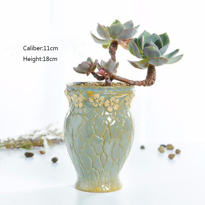 Succulent พืชกระถางดอกไม้ขนาดก - Echeveria Succulent บทวิจารณ์และราคา