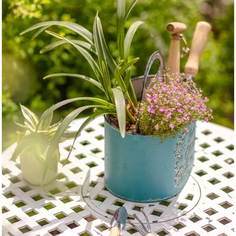สีฟ้าแขวนผนังชาวไร่อายุศิลปะเห - Spider Plant Hanging บทวิจารณ์และราคา