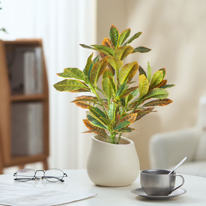 24-41 ซม.พืชประดิษฐ์ปลอม Ficus - Ficus Lyrata Tree บทวิจารณ์และราคา