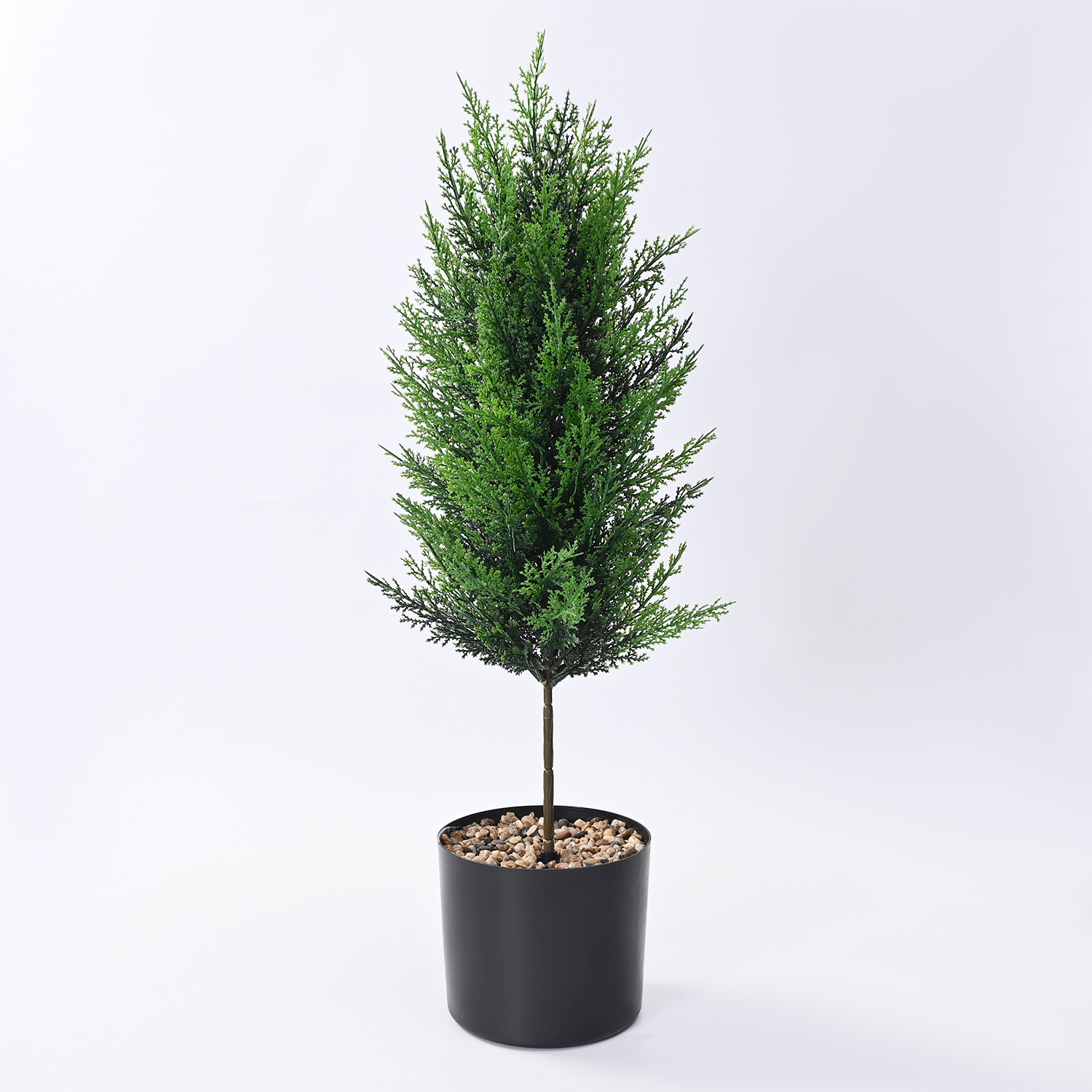 ต้นไซเปรสประดิษฐ์แบบสัมผัสเหมื - Dracaena Marginata บทวิจารณ์และราคา