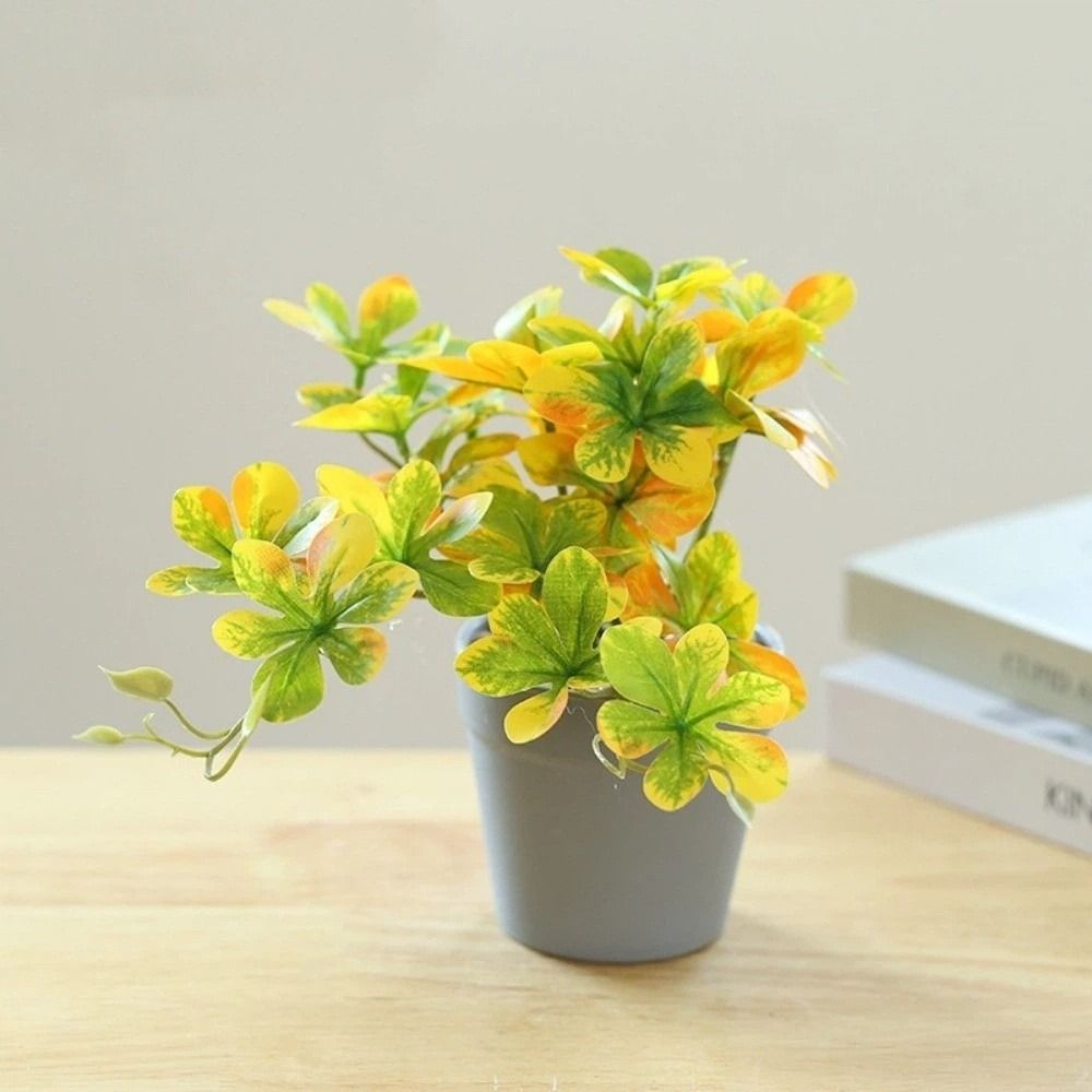 บอนไซ ต้นบอนไซประดิษฐ์ ต้นแมงม - Spider Plant Hanging บทวิจารณ์และราคา