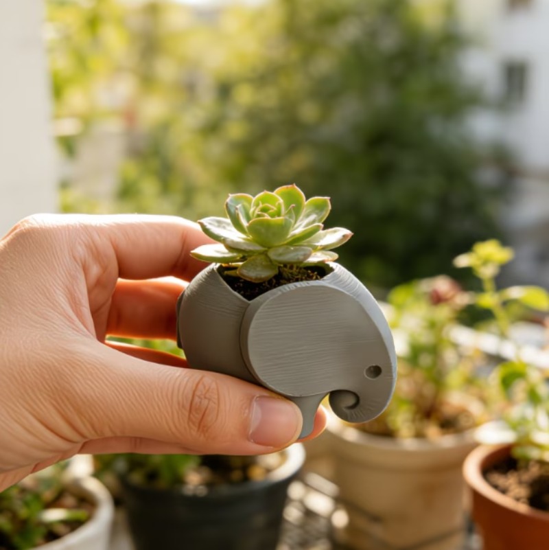 กระถางดอกไม้รูปช้าง กระถางเซรา - Echeveria Succulent บทวิจารณ์และราคา