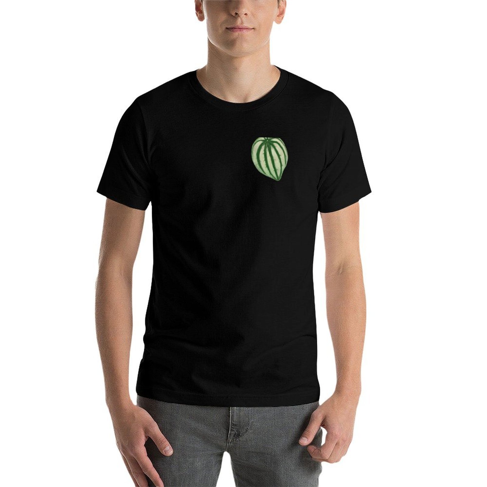 เสื้อยืดลายแตงโม Peperomia ลำล - Peperomia Watermelon บทวิจารณ์และราคา